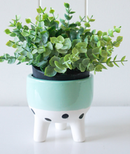 Load image into Gallery viewer, Pot/Planter  Sage Band and Spots
